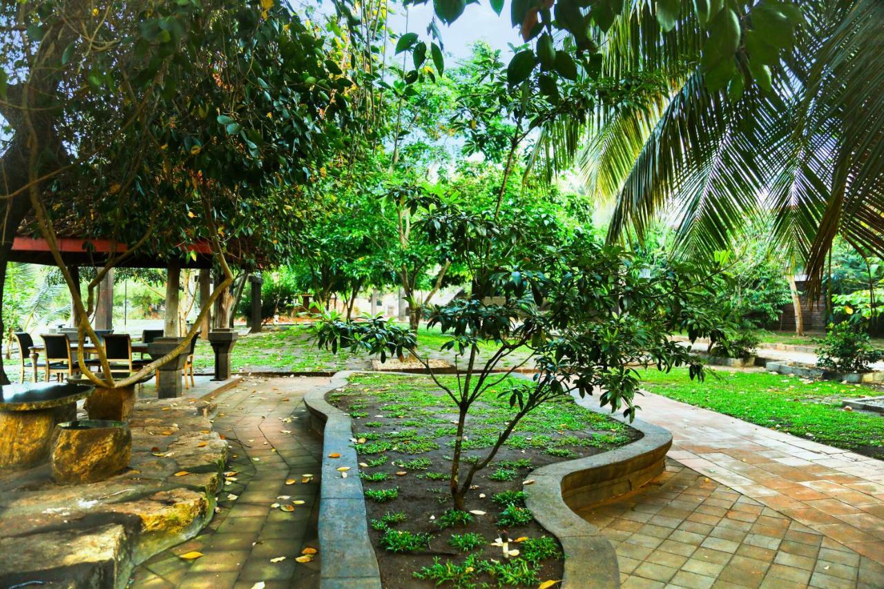 Avasta Resort And Spa อนุราธปุระ ภายนอก รูปภาพ